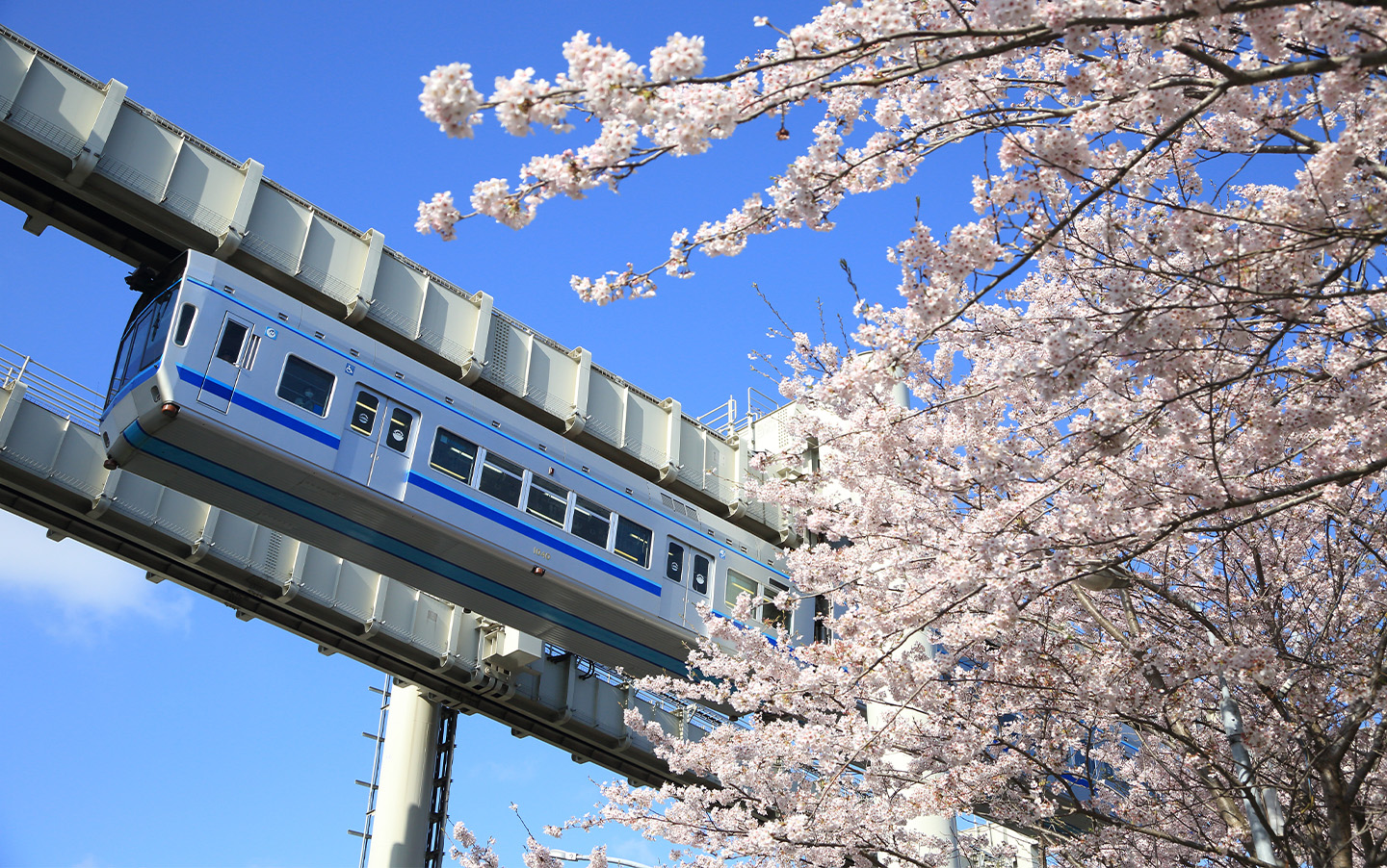 pcメインビュー