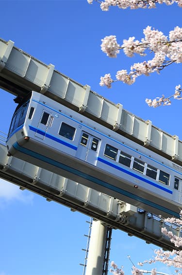 spメインビュー